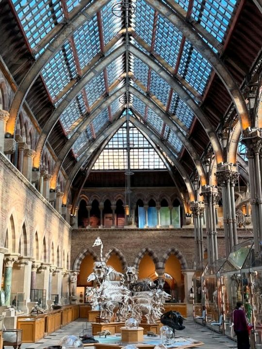 FREE entry, another amazing museum in Oxford, opened in 1860, was established to consolidate the university's scattered scientific collections and facilities into a single, purpose built space.