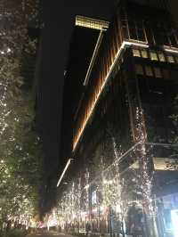 🌲2020年 東京丸の内クリスマスツリー と2025年に乞うご期待❣️