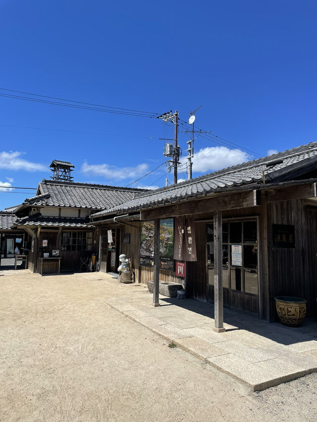 【小豆島】  日本映画、文学のテーマパーク  1500本のひまわり