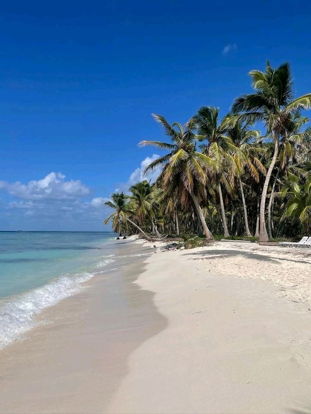 Tropical Paradise at Isla Saona