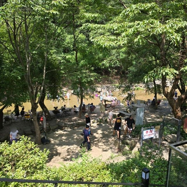 서울 근교에서 만나는 시원하고 감성 가득한 남한산성 계곡 카페 개울테라스! 서울 근교에서 만나는 시원하고 감성 가득한 남한산성 계곡 카페 개울테라스!