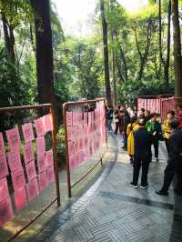 🌳 People’s Park Chengdu: A Historic Heartbeat of Sichuan