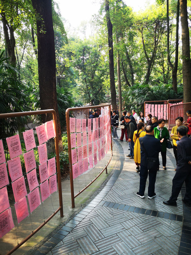 🌳 People’s Park Chengdu: A Historic Heartbeat of Sichuan