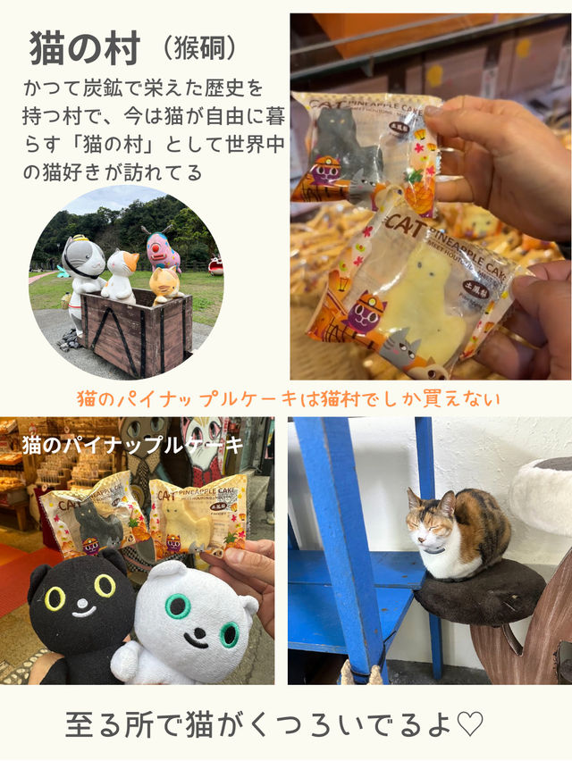 【台湾】観光にとても便利なfun passを使って楽しむ方法！