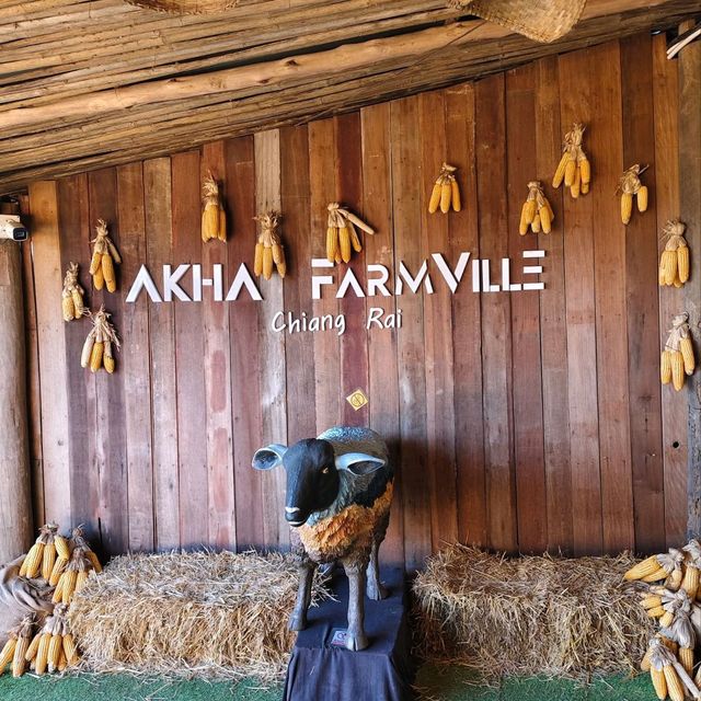 Akha FarmVille  ฟาร์มแกะสุดชิค