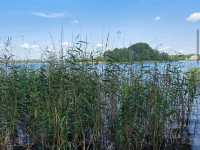 Lake Galvė (Trakai), Lithuania
