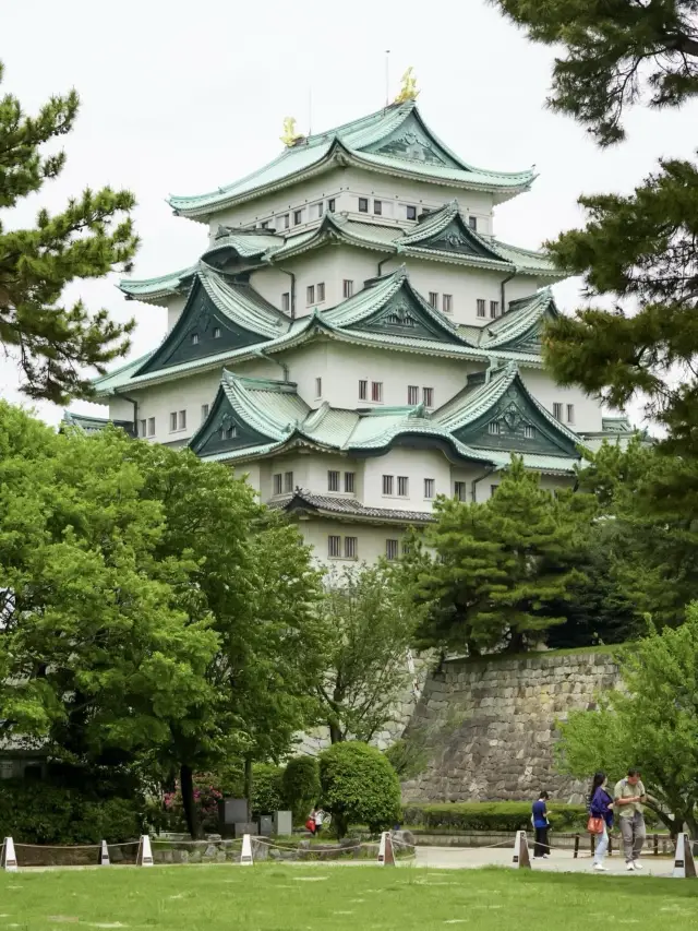 名古屋:比東京人少,比大阪好逛,名古屋簡直驚艷‼️去過三趟名古屋才發現 名古屋真不是旅遊荒漠 便利、實惠、發達、人少 八個字是我對這裡的形容📸