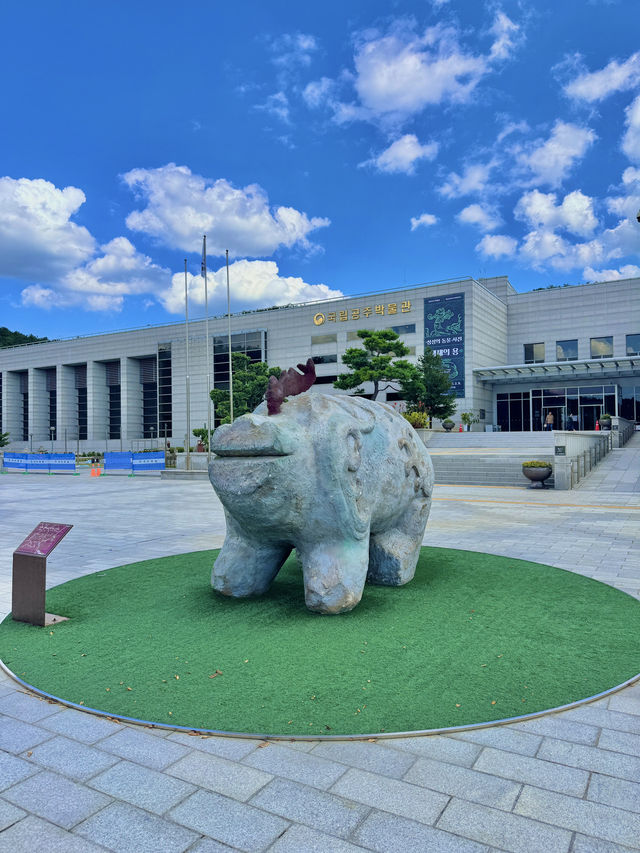 🌿 충청도 여행 (세종·공주) 
