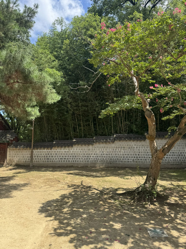 전주 한옥마을 여행의 하이라이트, [경기전] ✨