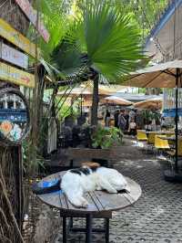 Rimray house คาเฟ่ดีๆ ที่ต้องไป ที่บางแสน