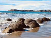 Stones from the Sea: My Solo Trip to the Moeraki Boulders