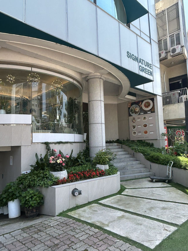 초록과 함께 편안한 시간 💚 초록과 함께 편안한 시간 💚