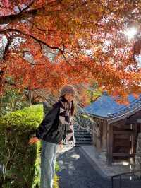 Hakone Autumn Season Guide 🍁🏞️ 