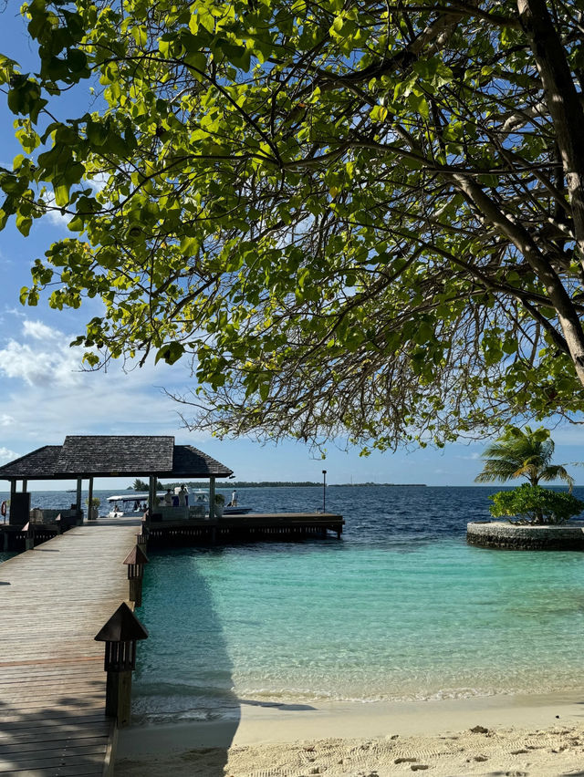 🇲🇻 Lily Beach Maldives Guide 🌴🏖️