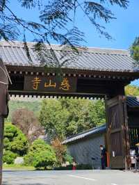 Tsz shan monastery สถานที่ไม่ควรพลาดในฮ่องกง