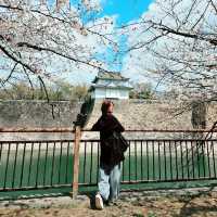 【大阪城賞櫻花攻略】櫻花季節、交通資訊＋必拍美照點