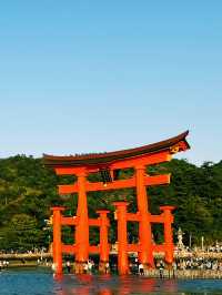 嚴島神社:陽光下的橙紅奇跡 🌅⛩️