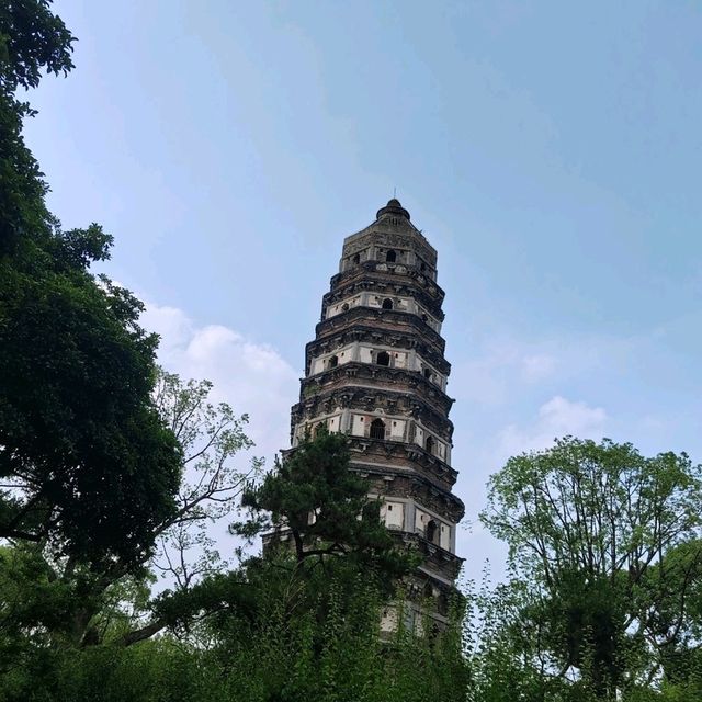 你一句春不晚，我就到了真江南