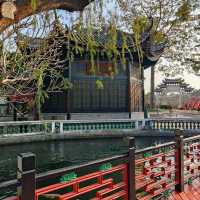 ชมปลาคาร์ป ให้อาหาร ที่สวนเปาเมอ