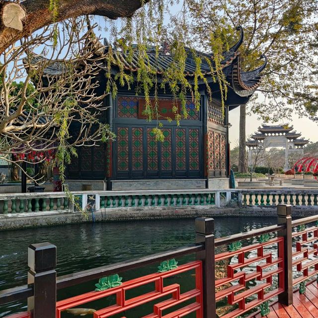 ชมปลาคาร์ป ให้อาหาร ที่สวนเปาเมอ