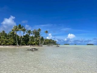 Dive Into Rangiroa’s Stunning Waters
