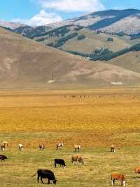 The Golden Veins of Altay