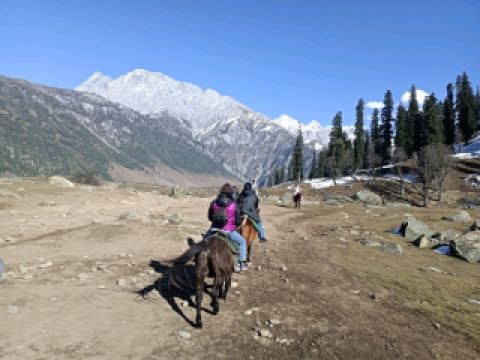 카슈미르 스리나가 인도