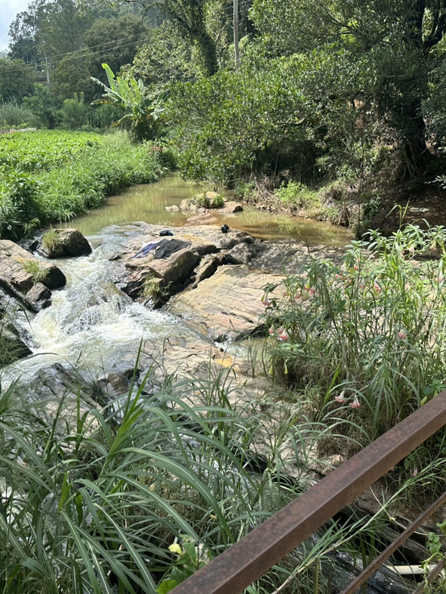 ✨🚂🌿エッラ観光まとめ🌿🚂✨
