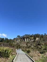 Putaruru Blue Spring (Te Waihou Walkway)
