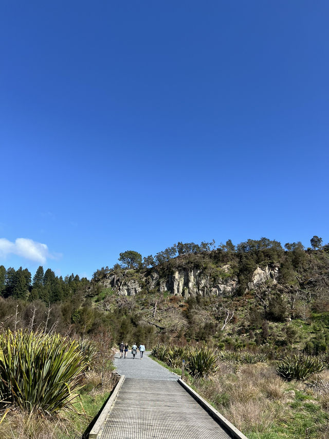 Putaruru Blue Spring (Te Waihou Walkway)