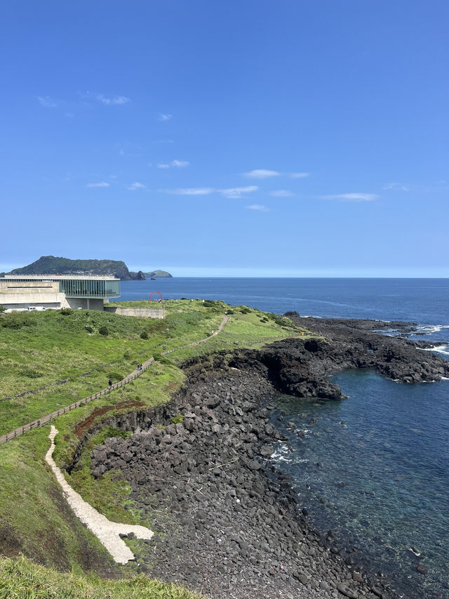 어딜 봐도 다 예뻐서 놀라는 제주도 산책로