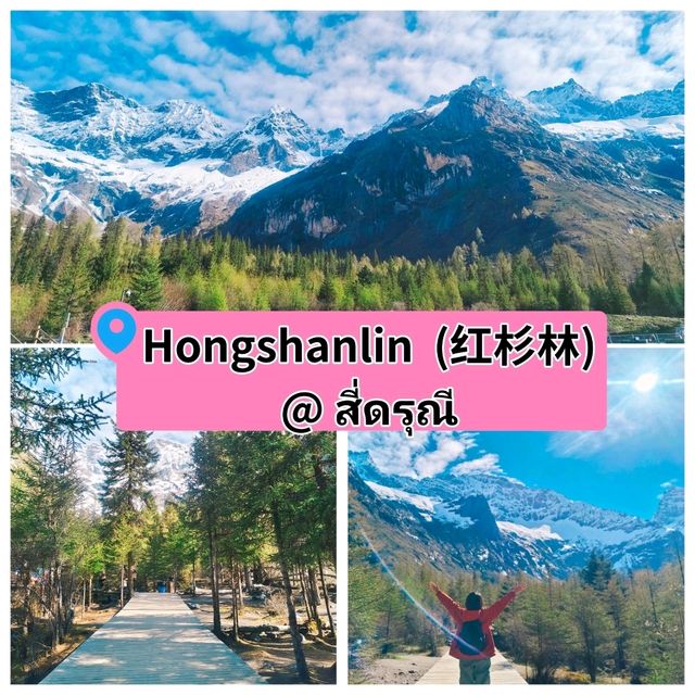 จุดชมวิว  Hongshanlin (红杉林) @ สี่ดรุณี จุดชมวิว  Hongshanlin (红杉林) @ สี่ดรุณี