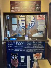 유후인에 가면 꼭 들러야 할 곳! 바로 시바 카페(Shiba Cafe) : 마메시바🐕☕️