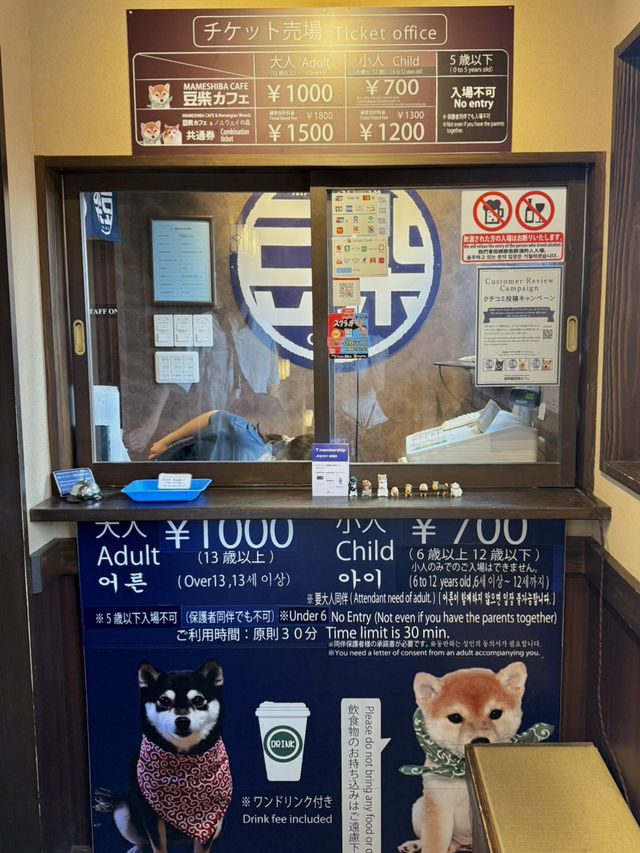 유후인에 가면 꼭 들러야 할 곳! 바로 시바 카페(Shiba Cafe) : 마메시바🐕☕️