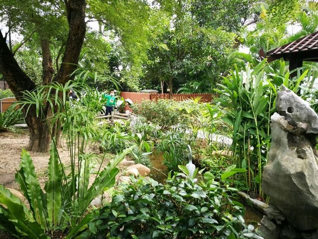 秋季最佳賞鳥推薦｜香港動植物公園