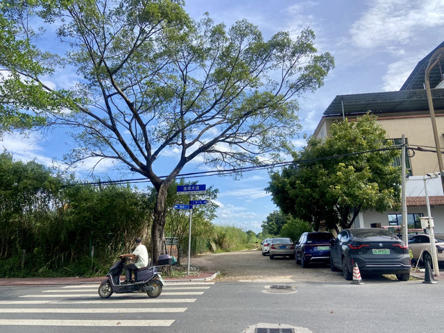 🚴從味蕾記憶品味人生🌾在清遠尋找✨家的味 🚴從味蕾記憶品味人生🌾在清遠尋找✨家的味