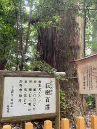 遠足必去濕地秘境🌿｜阿蘇火山地區