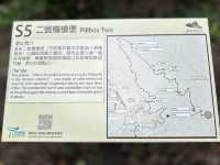 黃泥涌峽徑：重踏戰火記憶，尋找英雄足跡