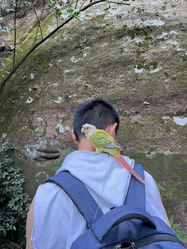 🇨🇳 Guifeng Scenic Spot — A Hidden Danxia Wonderland Near Shangrao, Jiangxi