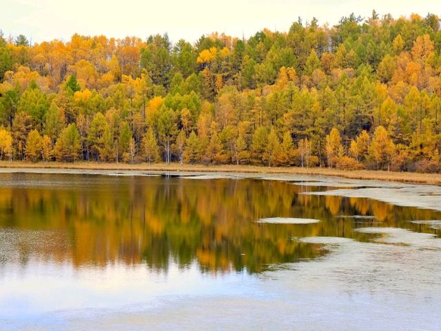 “Hulunbuir Prairie: The Sea of Grass in Inner Mongolia”