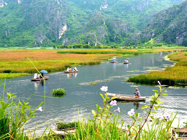 🌿 Van Long Wetland Nature Reserve – The “Hidden Bay” of Ninh Binh 🌿