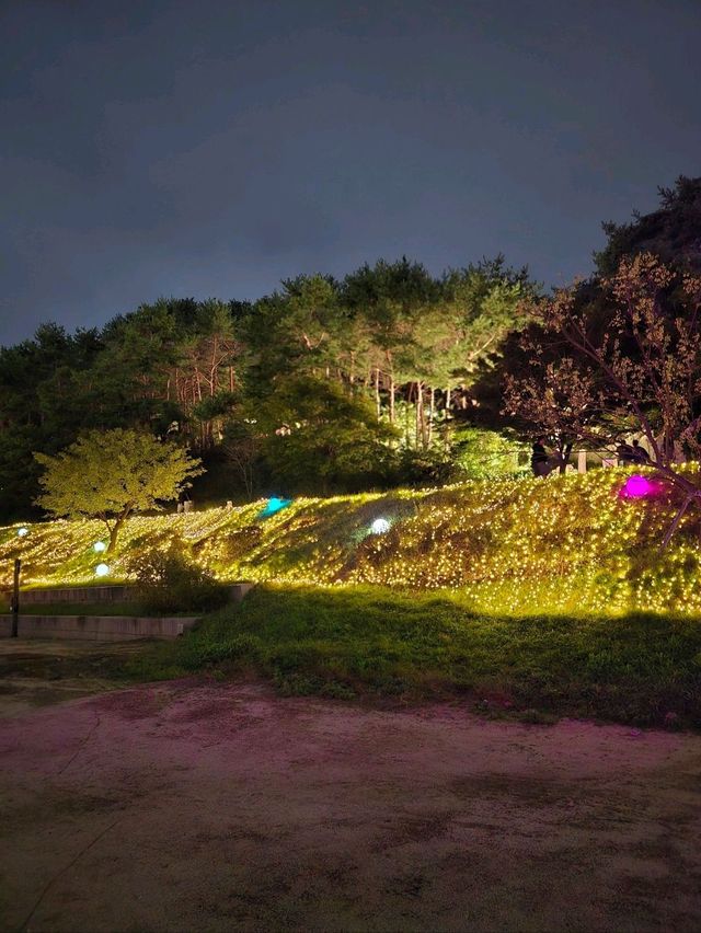 빛의 화려함이 가득했던 수원 화성행궁 밤나들이🧡
