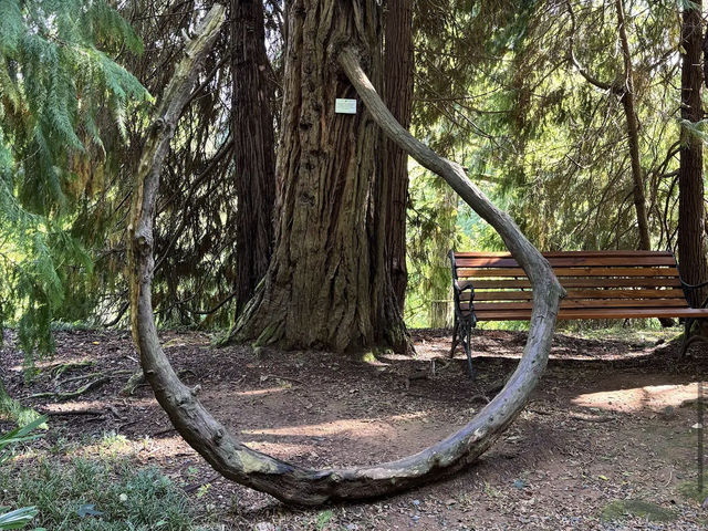 Batumi Botanical Garden