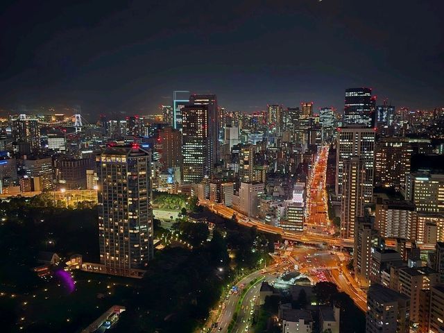 도쿄의 심장, 333m 밤을 밝히는 도쿄타워🗼