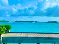Waldorf Astoria Maldives Ithaafushi — A Private Island Beyond Imagination