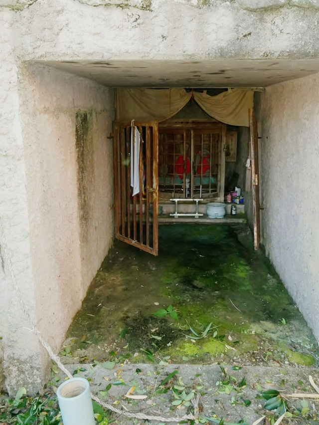 The Fortress of Faith: My Solo Pilgrimage to Hara Castle, Nagasaki
