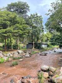 Flora Creek Chiang Mai 🌿🏞️ 