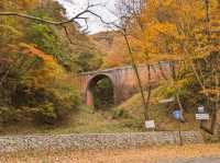 紅葉穴場スポット😶‍🌫️群馬のめがね橋🍁