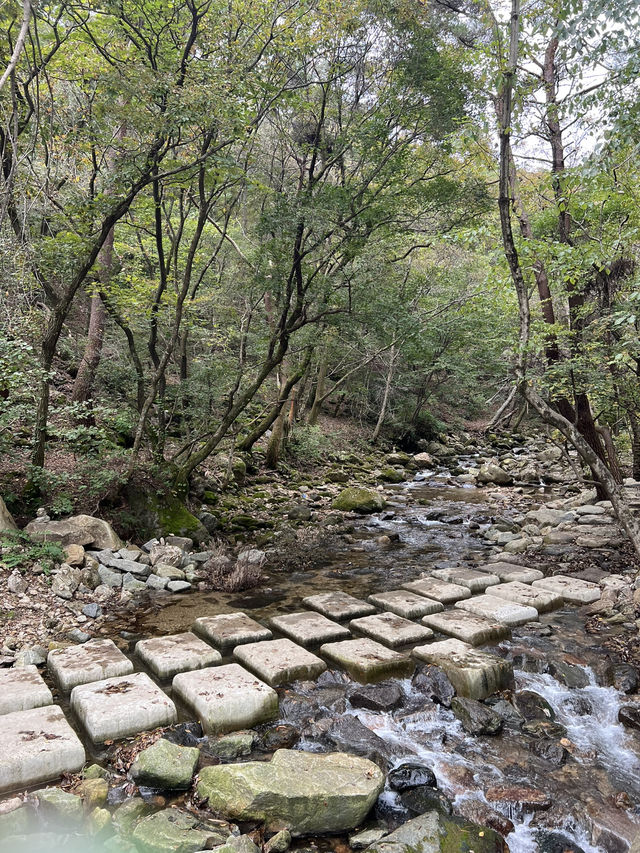 아름다운 가을 공원🌳