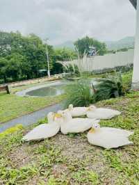 หลีกหนีความวุ่นวายในเมืองมาพักใจที่คาเฟ่มวกเหล็ก
